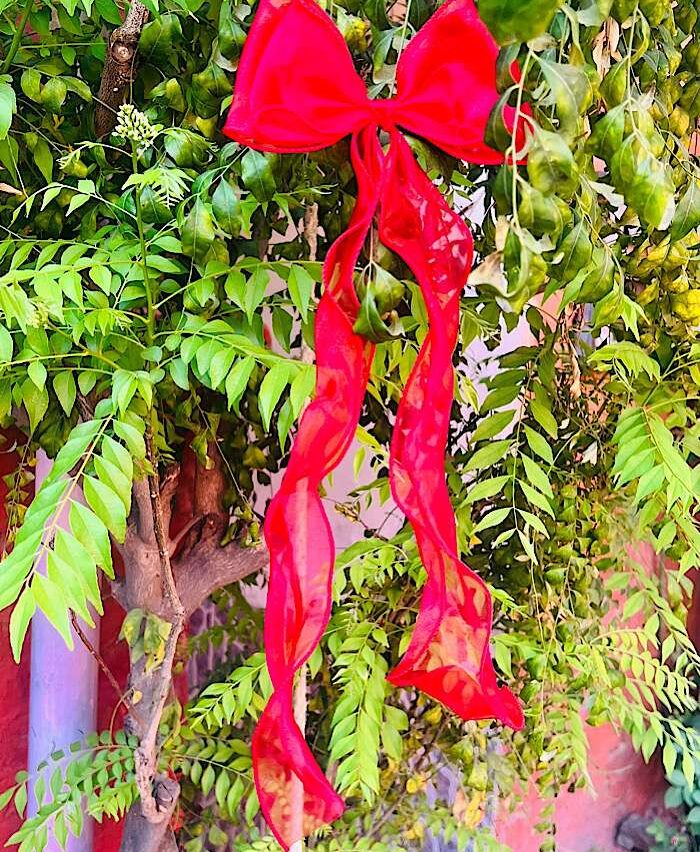 Organza Tail Bow Clip Red