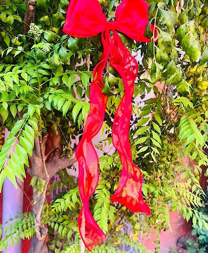 Organza Tail Bow Clip Red